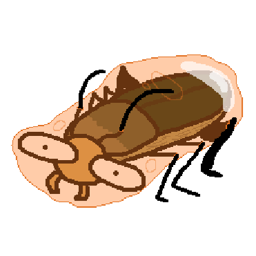 Amber Beetle preview