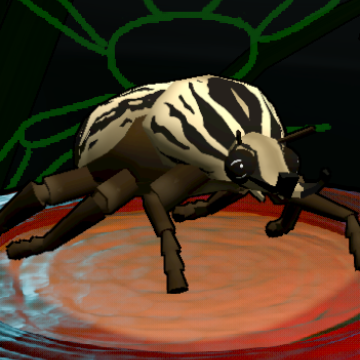 Goliath Beetle preview