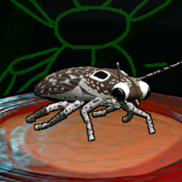 Click Beetle preview