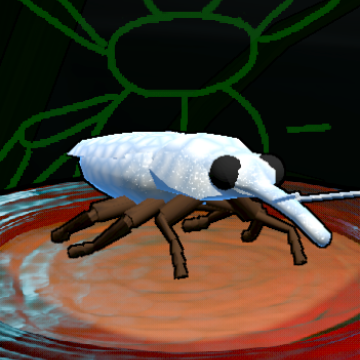 Snowman Long-nosed Weevil preview