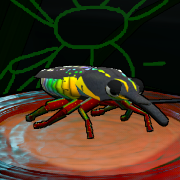 Iridescent Negative Long-nosed Weevil preview