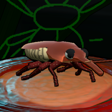 Bronze Long-nosed Weevil preview