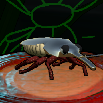 Silver Long-nosed Weevil preview
