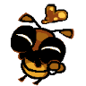 Bee Beetle